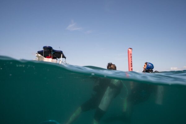 Cozumel Full Buceo - Imagen 9