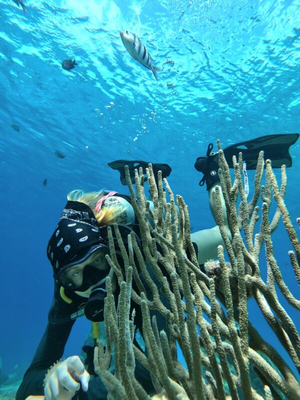 Cozumel Full Buceo - Imagen 8
