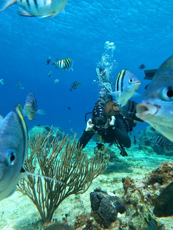 Cozumel Full Buceo - Imagen 3