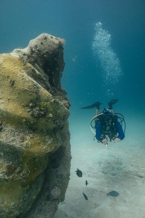 Cozumel Full Buceo - Imagen 4