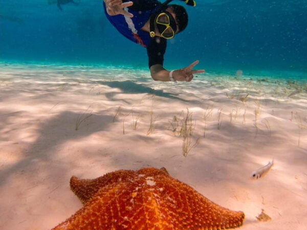 Tour al Cielito Cozumel